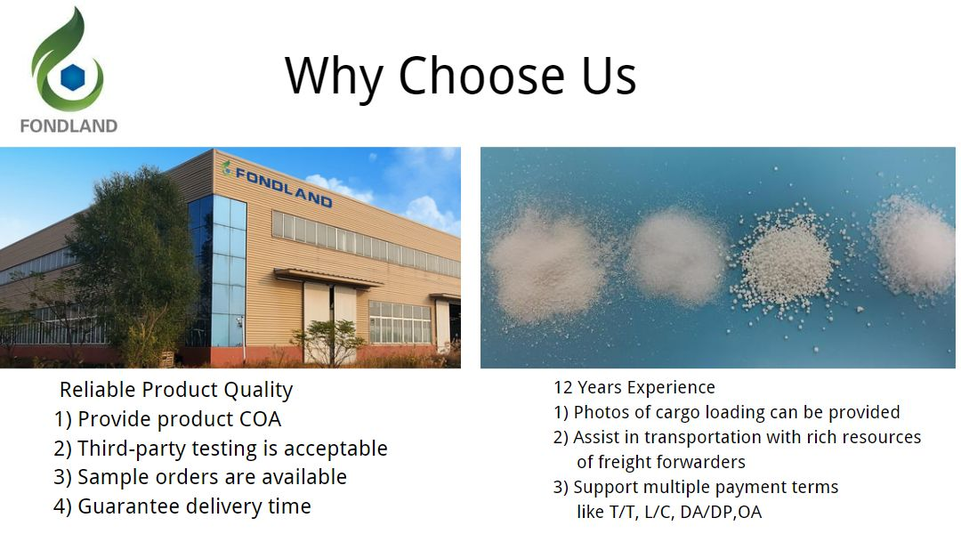 why choose Fondland