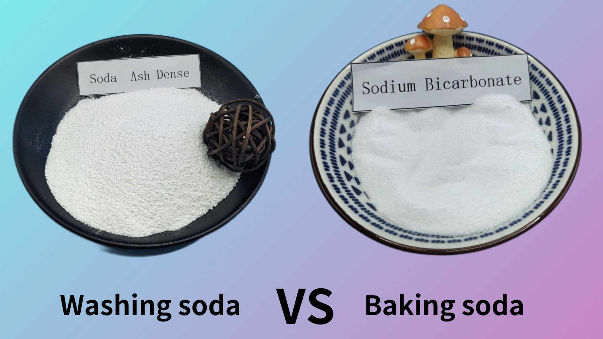 Washing Soda vs Baking Soda What's The Difference? Fondland